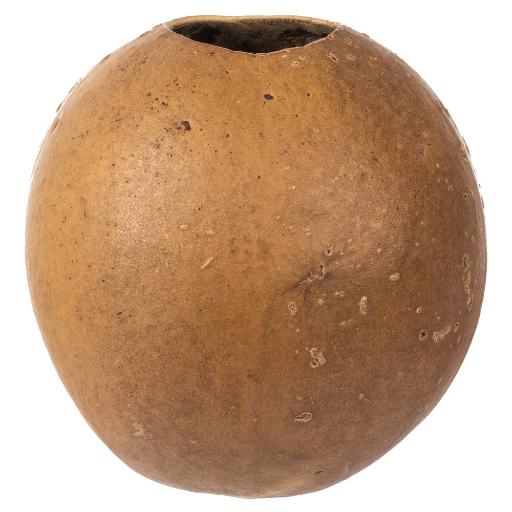 Vickerman 6-7" x 6-8" Bacacuia Gourd, Dried