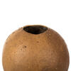 Vickerman 6-7" x 6-8" Bacacuia Gourd, Dried 3 Pack - view 4 of 5