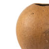 Vickerman 6-7" x 6-8" Bacacuia Gourd, Dried 3 Pack - view 3 of 5