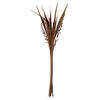 Vickerman 36" Bahia Spears with Seeds, Dried 18 Pack - view 1 of 6