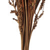 Vickerman 36" Bahia Spears with Seeds, Dried 18 Pack - view 3 of 6
