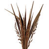 Vickerman 36" Bahia Spears with Seeds, Dried 18 Pack - view 2 of 6
