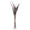 Vickerman 36" Bahia Spears with Seeds, Dried 9 Pack - view 1 of 5