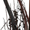Vickerman 36" Bahia Spears with Seeds, Dried 9 Pack - view 3 of 5
