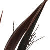 Vickerman 36" Bahia Spears with Seeds, Dried 9 Pack - view 5 of 5