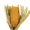 Vickerman 12" Banksia Flower with Dyed Foliage, Dried - view 2 of 5