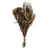 12" Autumn Banksia Foliage Flower 4oz - view 1 of 6