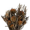 12" Autumn Banksia Foliage Flower 4oz - view 2 of 6