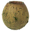 1" App Basil Bell Gum Pods 2.2 lbs/pk - view 1 of 4