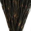 Vickerman 15-20" Natural Bell Grass, Preserved - view 3 of 4