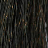Vickerman 15-20" Natural Bell Grass, Preserved - view 2 of 4
