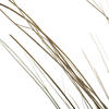 Vickerman 35"-40" Bright Grass Bundle, Dried - view 4 of 5