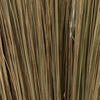 Vickerman 35"-40" Bright Grass Bundle, Dried - view 3 of 5
