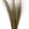 Vickerman 35"-40" Bright Grass Bundle, Dried - view 2 of 5