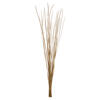 Vickerman 36"-40" Caba Spine Bundle, Dried 24oz - view 1 of 5