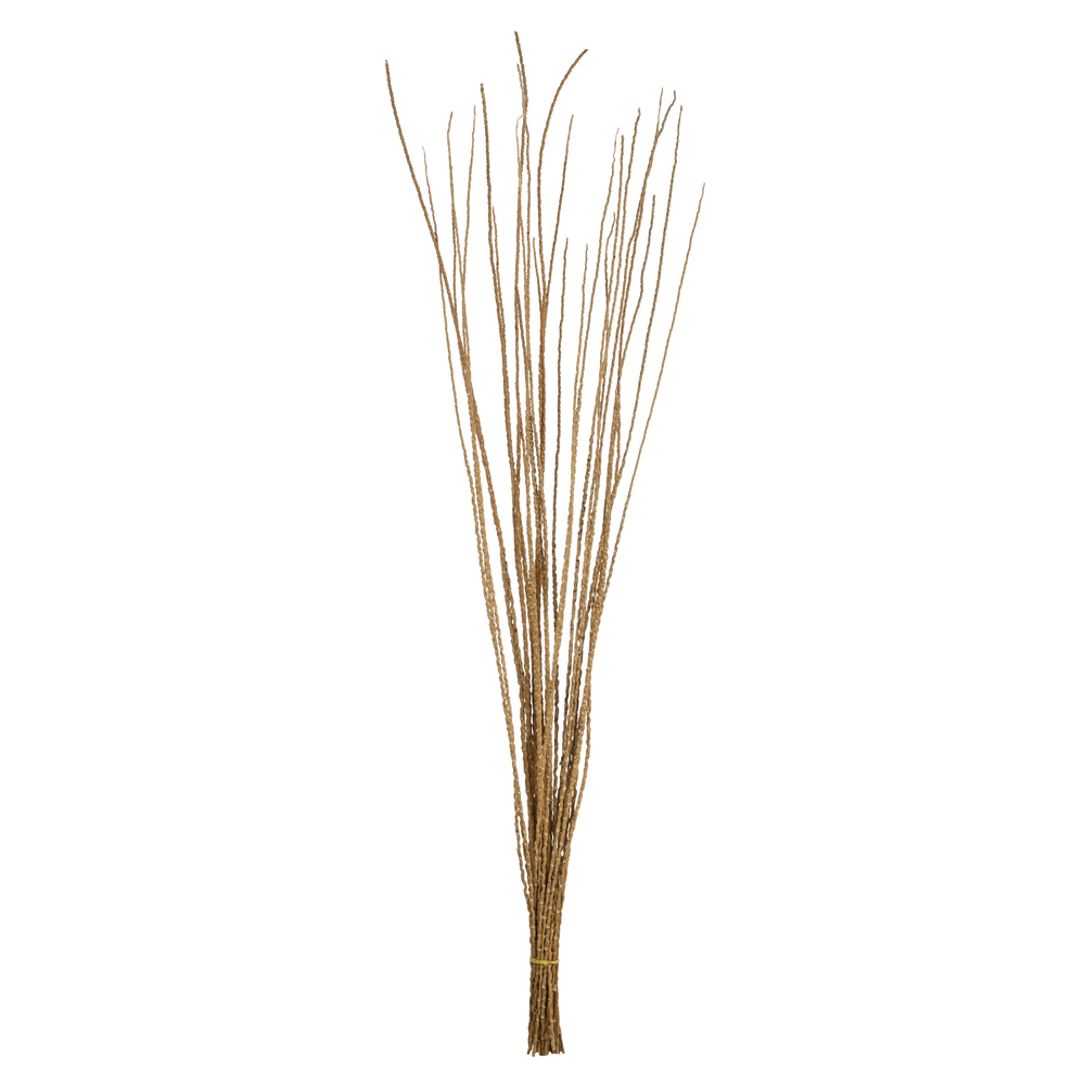 Vickerman 36"-40" Caba Spine Bundle, Dried 24oz