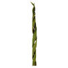45-48" Curled Basil Coco Velvet Stems - view 1 of 5