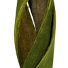 45-48" Curled Basil Coco Velvet Stems - view 5 of 5