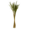 Vickerman 36" Congo Grass Bundle, 8 oz Dried - view 1 of 4