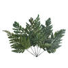 6-10" Green Davalia Fern Stem- 6/Pk - view 1 of 4