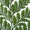 6-10" Green Davalia Fern Stem- 6/Pk - view 3 of 4
