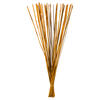 Vickerman 40" Elephant Reed, Dried - view 1 of 4