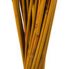 Vickerman 40" Elephant Reed, Dried - view 4 of 4