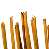 Vickerman 40" Elephant Reed, Dried - view 3 of 4