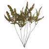 6-10" Green Felci Fern Stem - 6/pk - view 1 of 4