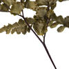 6-10" Green Felci Fern Stem - 6/pk - view 3 of 4