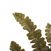 6-10" Green Felci Fern Stem - 6/pk - view 4 of 4