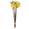 Vickerman Frogs Mouth Pod, Dried 9/Pk - view 1 of 4