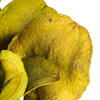 Vickerman Frogs Mouth Pod, Dried 9/Pk - view 2 of 4