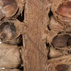 Vickerman Giant Seed Pod Segment, Dried - view 3 of 5