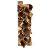 Vickerman Giant Seed Pod Segment, Dried - view 5 of 5