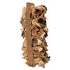 Vickerman Giant Seed Pod Segment, Dried - view 4 of 5