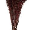 Vickerman 22"-26" Grabia Bundle, Preserved - view 4 of 6