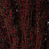 Vickerman 22"-26" Grabia Bundle, Preserved - view 2 of 6