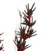 Vickerman 22"-26" Grabia Bundle, Preserved - view 6 of 6