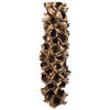 Vickerman Natural Giant Seed Pod Segment, Dried - view 1 of 6