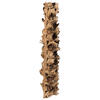 Vickerman Natural Giant Seed Pod Segment, Dried - view 4 of 6