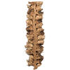 Vickerman Natural Giant Seed Pod Segment, Dried - view 5 of 6