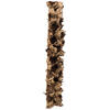 Vickerman Natural Giant Seed Pod Segment, Dried - view 6 of 6