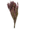 Vickerman 18-20" Heather Bundle, Preserved - view 1 of 4
