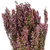 Vickerman 18-20" Heather Bundle, Preserved - view 2 of 4
