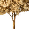 Vickerman Natural Botanicals 15” Hydrangea with Multiple Branch Segments, Preserved - view 3 of 4