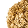 Vickerman Natural Botanicals 15” Hydrangea with Multiple Branch Segments, Preserved - view 4 of 4