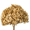 Vickerman Natural Botanicals 15” Hydrangea with Multiple Branch Segments, Preserved - view 2 of 4