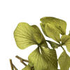 Vickerman 10 x 3 x 21" Tray of Hydrangea Pieces, Preserved - view 2 of 4