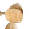 Vickerman 15-17" Bleached Jacaranda, Dried - view 2 of 5